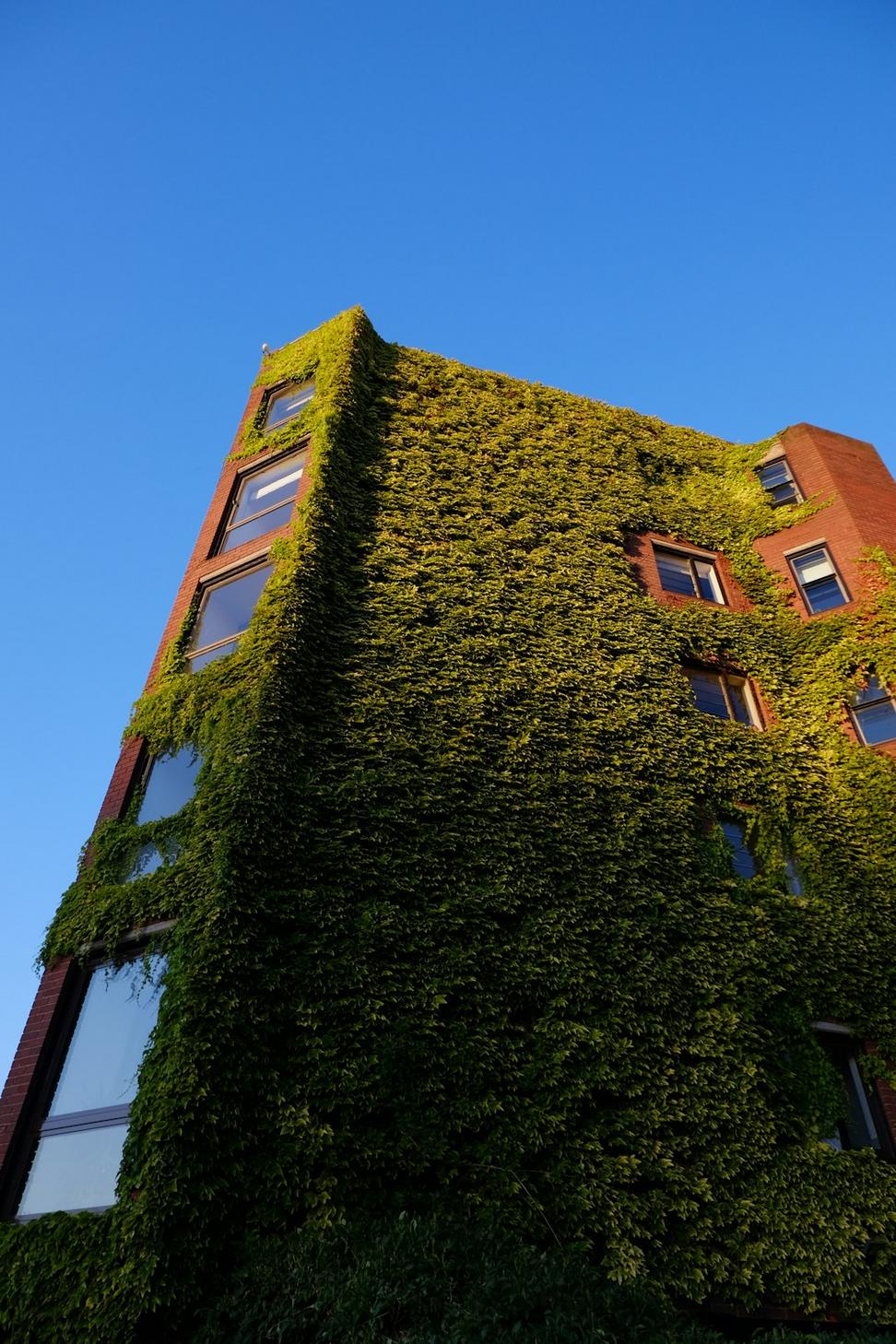 Commercial green building