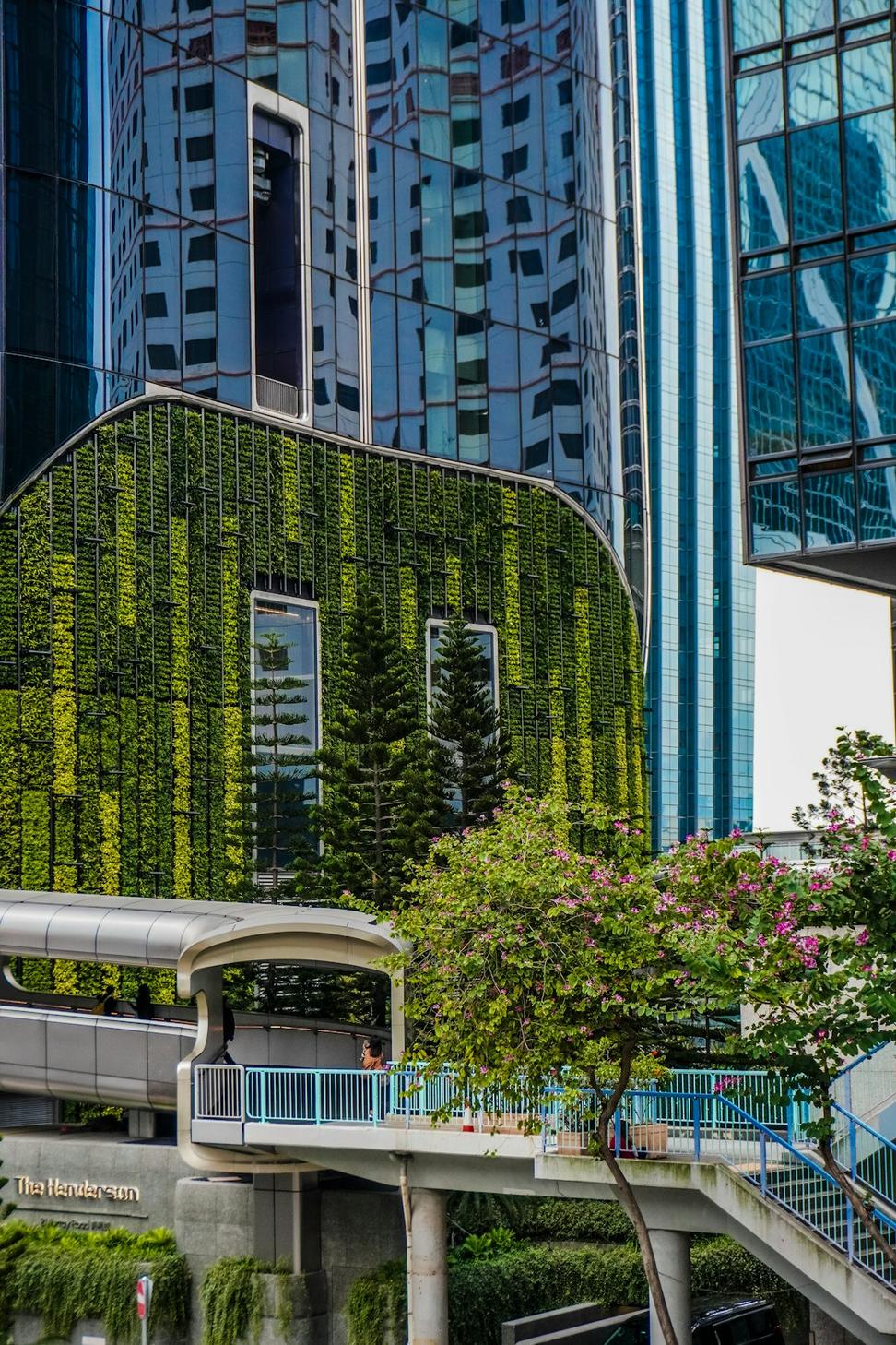 Sustainable Building Consultancy