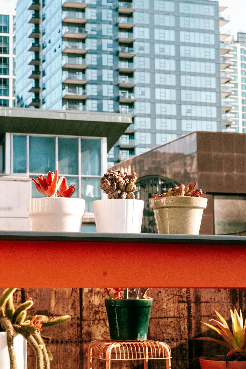 Vertical Garden Project