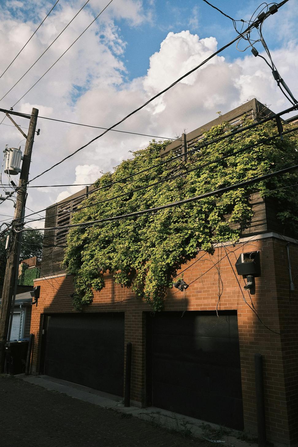 Rooftop