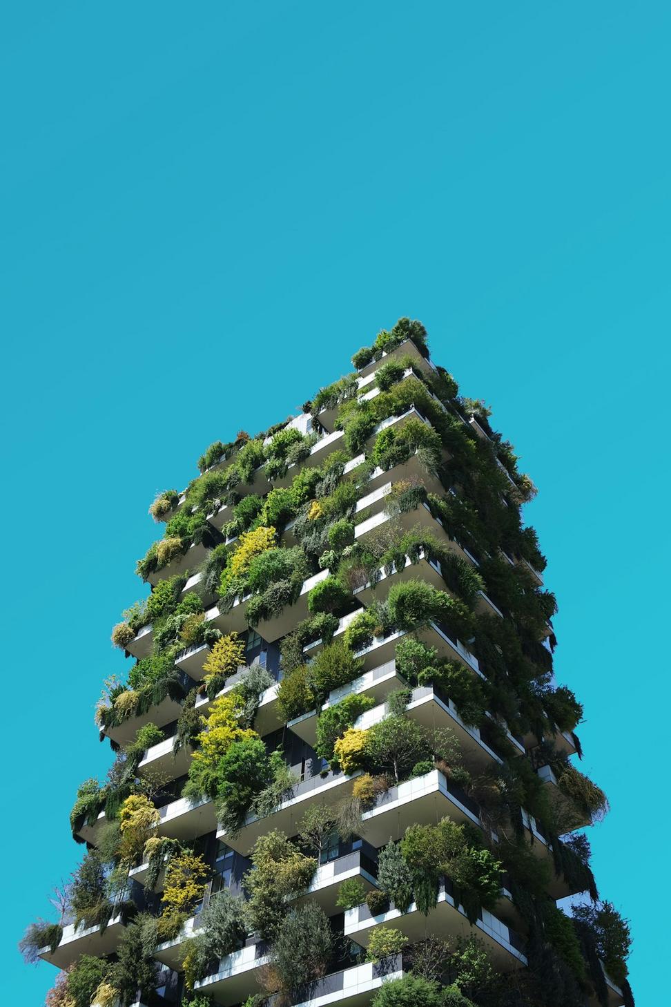 Project detail