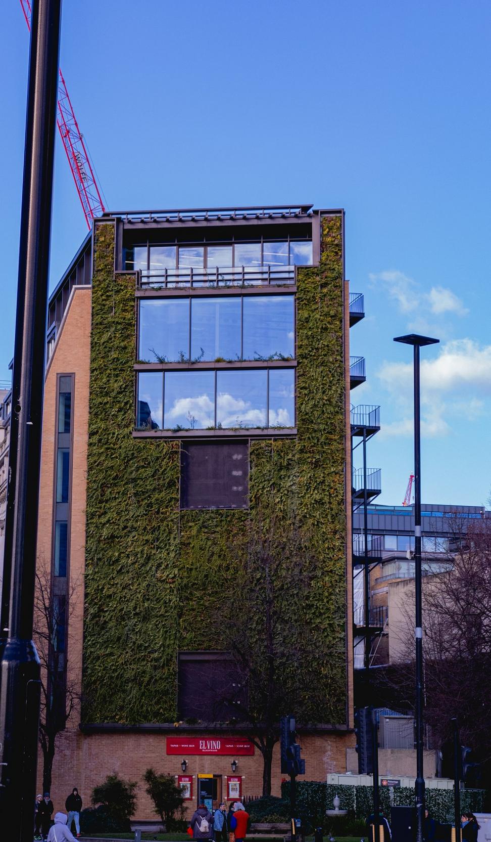 Sustainable architecture project